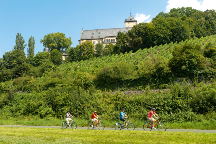 Radeln bei Schonungen mit dem E-Bike (© Fränkisches Weinland Tourismus/Schweinfurt 360°/Andreas Hub)